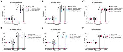 Synthetic antimicrobial peptides Bac-5, BMAP-28, and Syn-1 can inhibit bovine respiratory disease pathogens in vitro